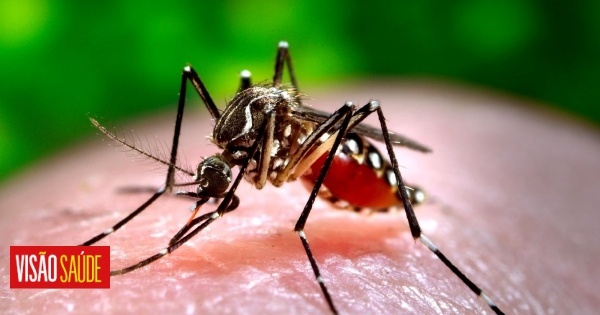 Les moustiques aiment davantage nous piquer quand nous sommes malades